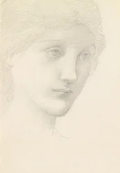 Studio per la Venere in 